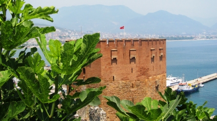 The Red Tower